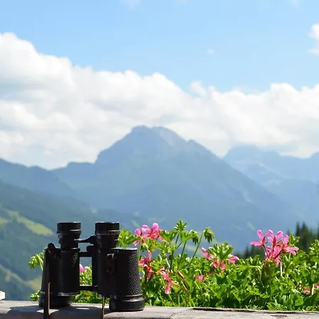 Bergappartements Proell 公寓式酒店 4*